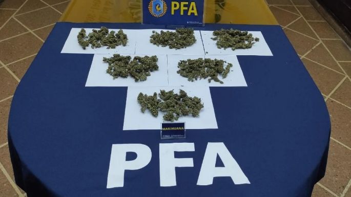 Fueron detenidos con una mochilla llena de marihuana a metros de la sede de Policía Federal de Mar del Plata