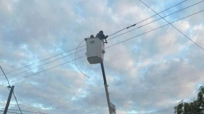 La Usina acudió a la DDI para tratar de contener los robos de cables y energía