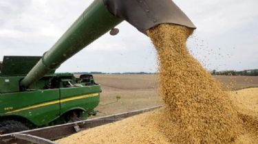 Por la sequía, la producción sojera será la más baja en 23 años