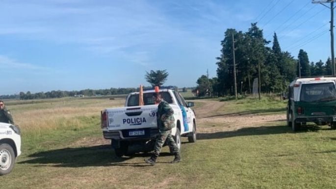 Tres Arroyos: Aparecieron vacas deambulando por la ruta 228 e investigan robo de ganado en un campo