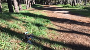 Falta mantenimiento: La basura en el parque y en la playa recibió a los turistas el fin de semana largo