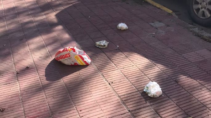 Falta mantenimiento: La basura en el parque y en la playa recibió a los turistas el fin de semana largo