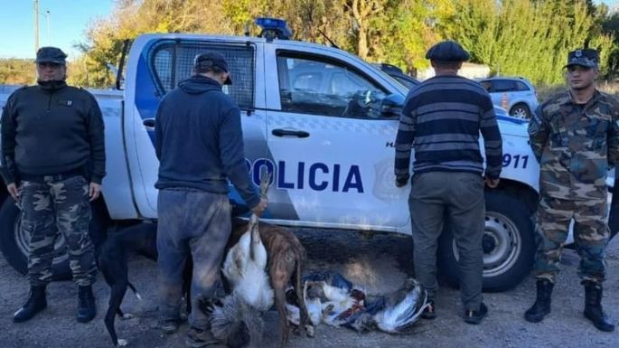 Mar Chiquita: Cazadores furtivos fueron atrapados cuando llevaban un ñandú vivo arriba de un Corsa