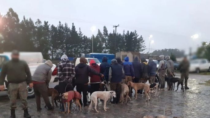 Trece personas fueron detenidas en Balcarce por caza furtiva