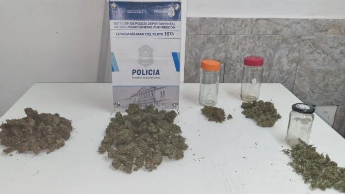 Mar del Plata: Detuvieron a un hombre que caminaba por la calle con casi medio kilo de marihuana