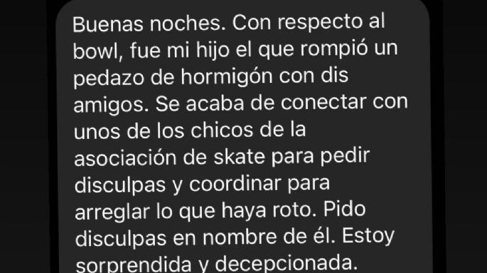 Vandalismo en el skatepark de Villa del Deportista: La madre del joven que causó los destrozos se disculpó y su hijo arreglará los daños