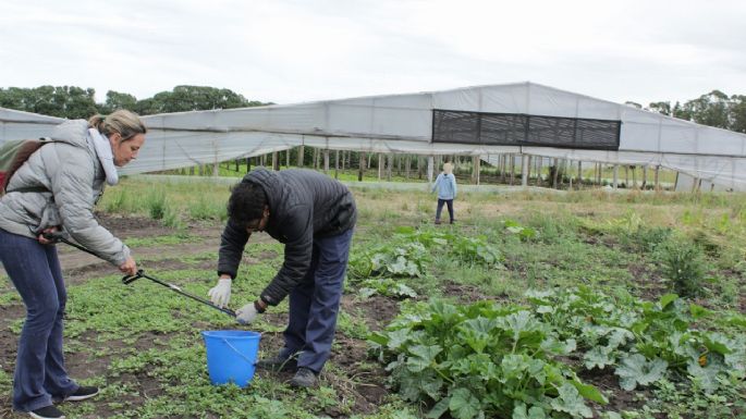 Muestreo de agrotóxicos: ¿Hay veneno en el suelo y el agua de las escuelas de Necochea?