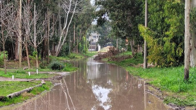 3 cuadras de calle anegadas en Barrio Parque: "Estoy por salir a pasear en una canoa"