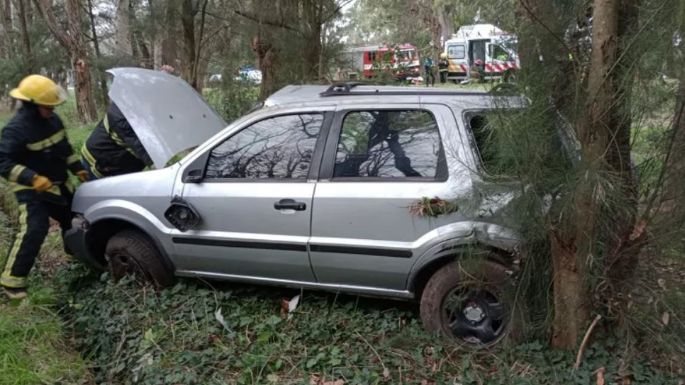 Fuerte choque en Ruta 226: Esquivó a un perro, despistó y chocó contra un árbol