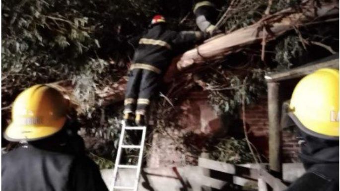 El temporal arrancó un árbol en La Dulce y cayó sobre una casa