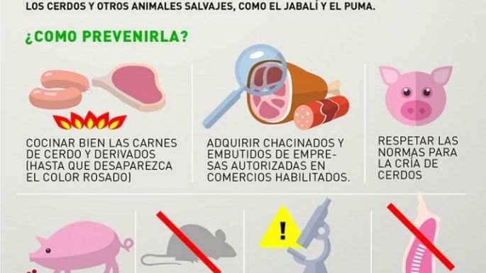 Bromatología lanza advertencias por triquinosis en Necochea