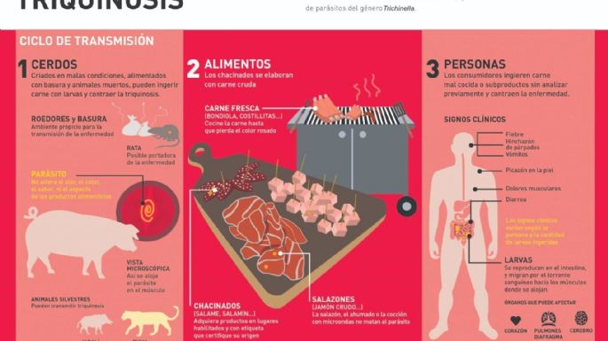 El Gobierno bonaerense emitió la alerta epidemiológica por triquinosis