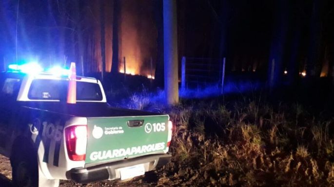 Un ritual provocó un incendio en el Parque Miguel Lillo: “Había alimentos, una carta y velas”