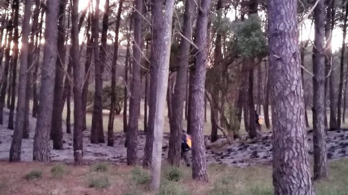 Un ritual provocó un incendio en el Parque Miguel Lillo: “Había alimentos, una carta y velas”