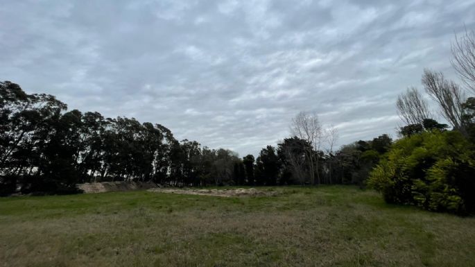 ¿Canchas de Tenis o qué?: Ambientalistas apelarán el levantamiento del amparo en el Parque