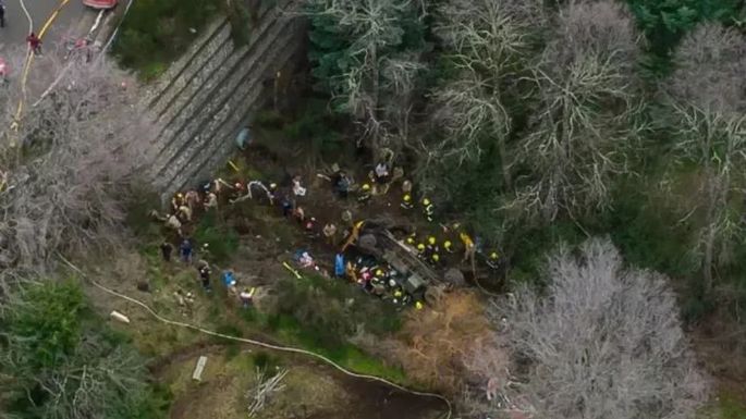 Videos: Camión del Ejército se desbarrancó dejando al menos cuatro soldados fallecidos y 17 heridos