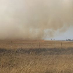 Alrededor de 13 hectáreas arrasadas por un voraz incendio en ruta 227