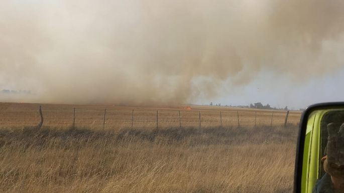 Alrededor de 13 hectáreas arrasadas por un voraz incendio en ruta 227