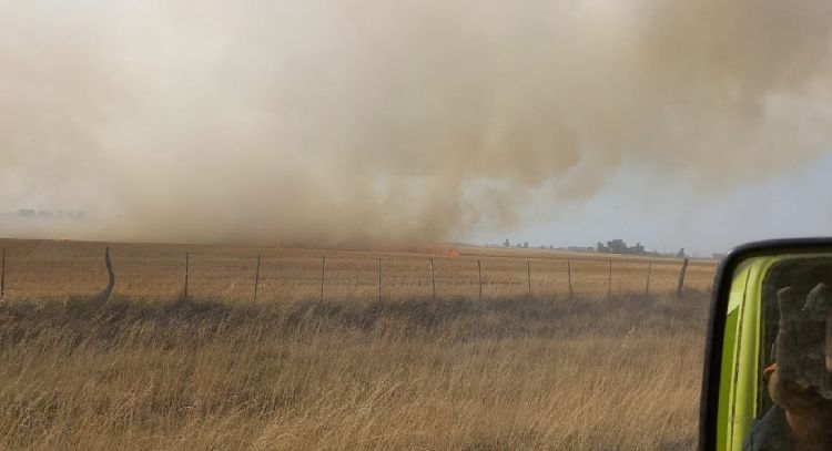 Alrededor de 13 hectáreas arrasadas por un voraz incendio en ruta 227