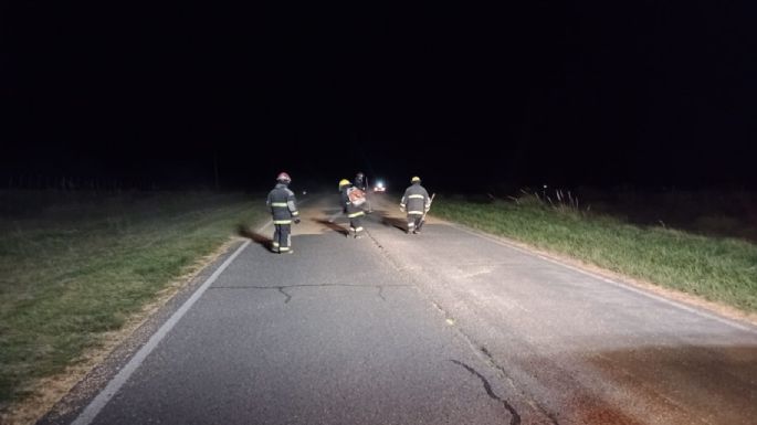 Ruta 86: Se le abrió la boquilla a un camión y derramó cereal por dos kilómetros