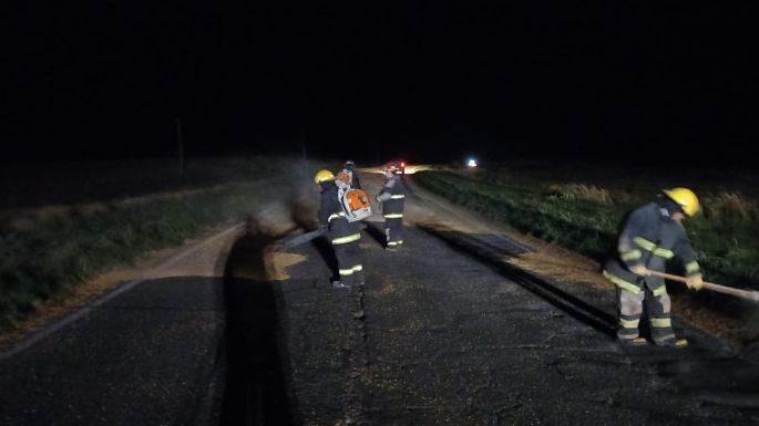 Ruta 86: Se le abrió la boquilla a un camión y derramó cereal por dos kilómetros