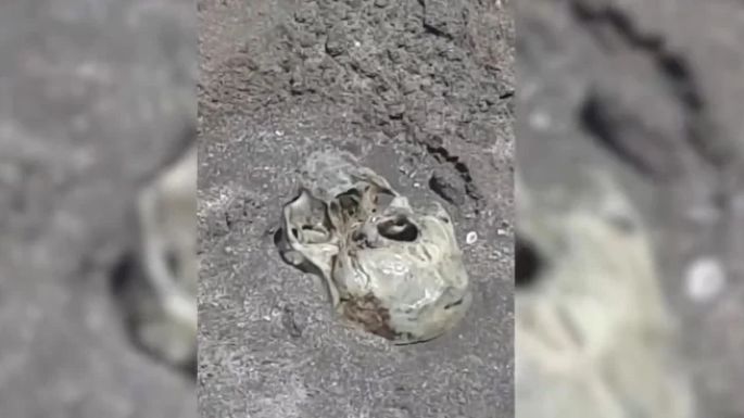 Encontraron medio cráneo en las playas de Mar del Plata