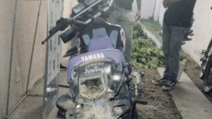 Encontraron una moto que robaron ayer y en el lugar hallaron plantas de marihuana