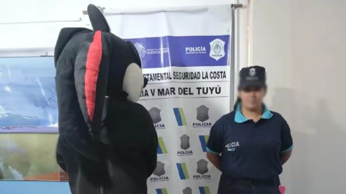 Detuvieron a un adolescente disfrazado de Sonic acusado de abusar de una menor en “Tren de la Alegría” de Mar del Tuyú