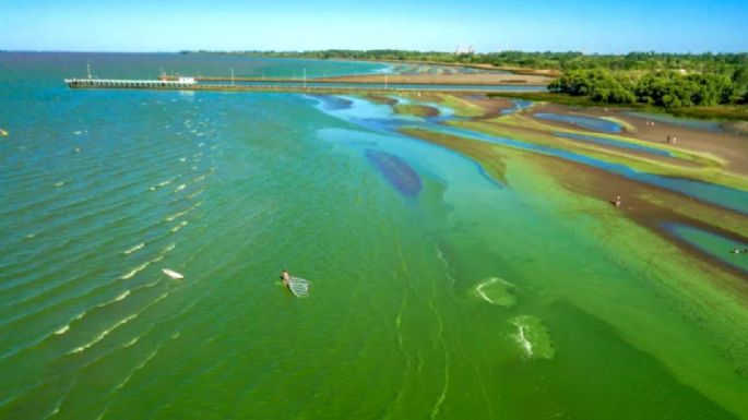 Alerta roja: El mapa de las lagunas bonaerenses afectadas por cianobacterias