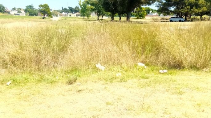 Fotos: Denuncian un basural a cielo abierto y abandono en el sector turístico de la Ribera del Río