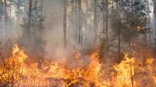 Incendio de proporciones desafía a los equipos de emergencia en campos de La Mora y Moromar