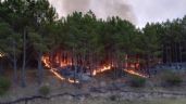 Con aviones hidrantes y bomberos de toda la zona batallan contra las llamas en las estancias Moromar y La Mora