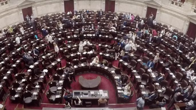 Diputados debatirá la Ley Ómnibus en particular