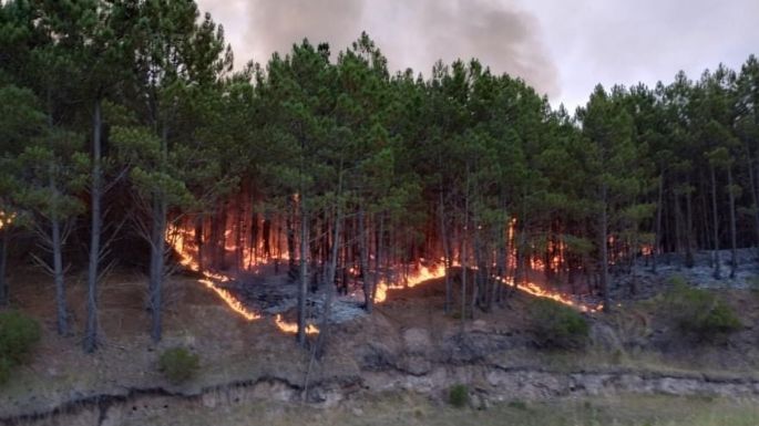 Con aviones hidrantes y bomberos de toda la zona batallan contra las llamas en las estancias Moromar y La Mora