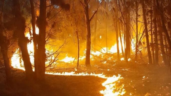 Con aviones hidrantes y bomberos de toda la zona batallan contra las llamas en las estancias Moromar y La Mora