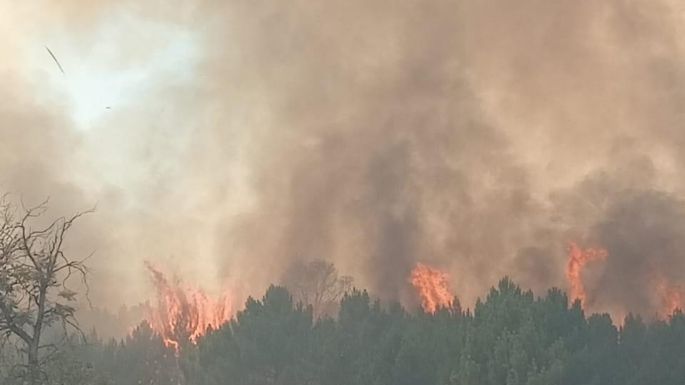 Con aviones hidrantes y bomberos de toda la zona batallan contra las llamas en las estancias Moromar y La Mora