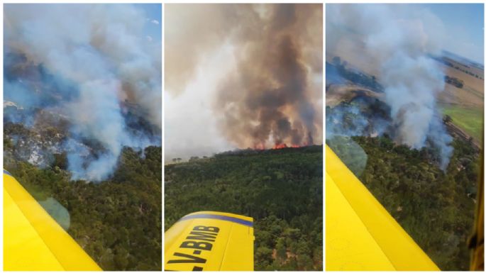 Video: El combate de un avión hidrante contra las llamas del incendio en la estancia Moromar