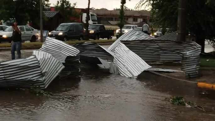 Miramar en emergencia por el paso de un temporal devastador: Árboles caídos, techos volados y autos afectados