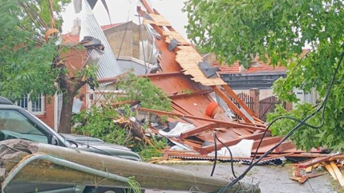 Miramar en emergencia por el paso de un temporal devastador: Árboles caídos, techos volados y autos afectados