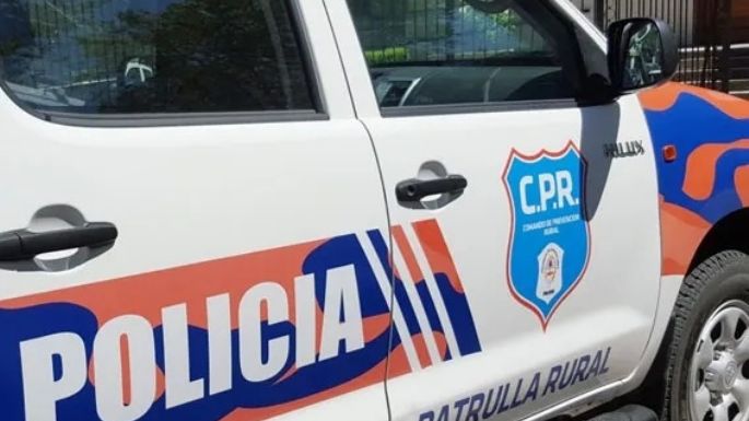 Ladrones saquearon una casilla rural en un campo de la región mientras su propietario trabajaba