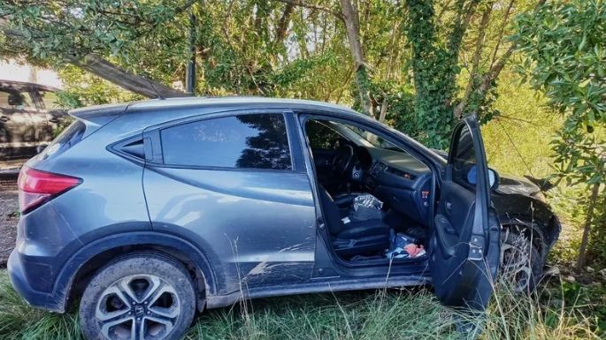 Robó una camioneta en Mar del Plata y la chocó cuando lo perseguía la Policía