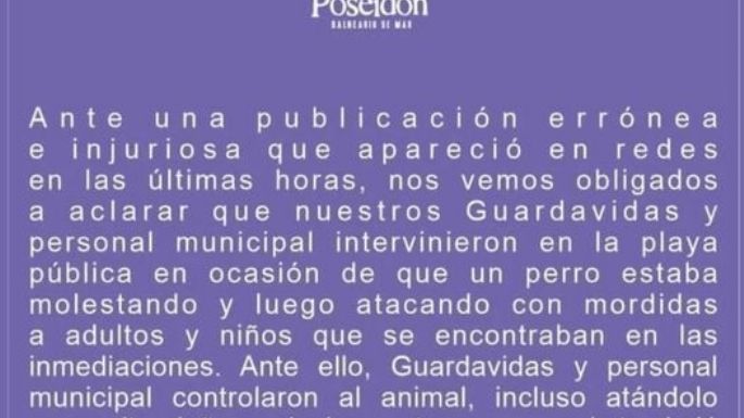 El veterinario que atendió al perro “Rubio” dijo que no encontró indicios de golpes ni de uso de formol