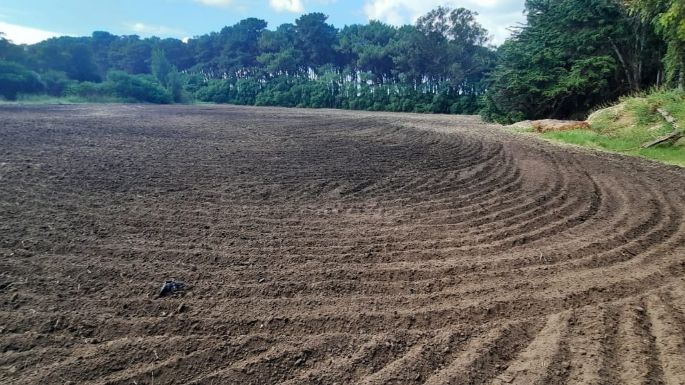 Canchas de tenis en el Parque: Denuncian que se está violando el amparo y obligan a la Muni a responder en tres días