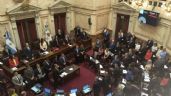 En vivo: En medio de las fisuras entre Milei y Villaruel, el Senado debate sobre el DNU del Gobierno