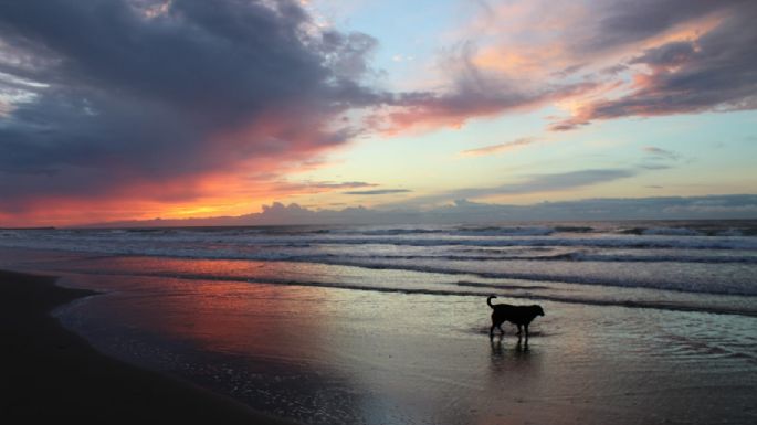 Cómo estará el clima en Necochea y Quequén este domingo 18-08