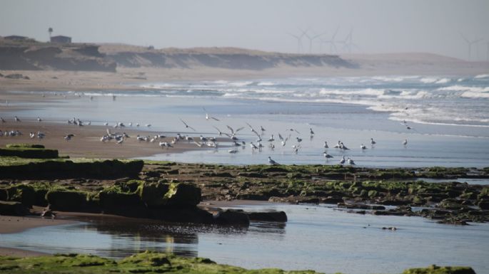 Cómo estará el clima en Necochea y Quequén este sábado 28-09