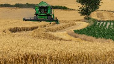 El Gobierno eliminará el Fideicomiso del Trigo, que controlaba el precio de la harina