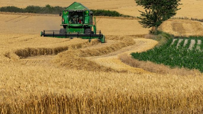 El Gobierno eliminará el Fideicomiso del Trigo, que controlaba el precio de la harina