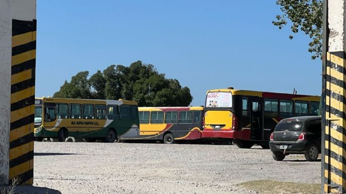 Descontrol con los colectivos: EL HCD quiere saber si se unificaron líneas y si se está pagando a los colectiveros su salario