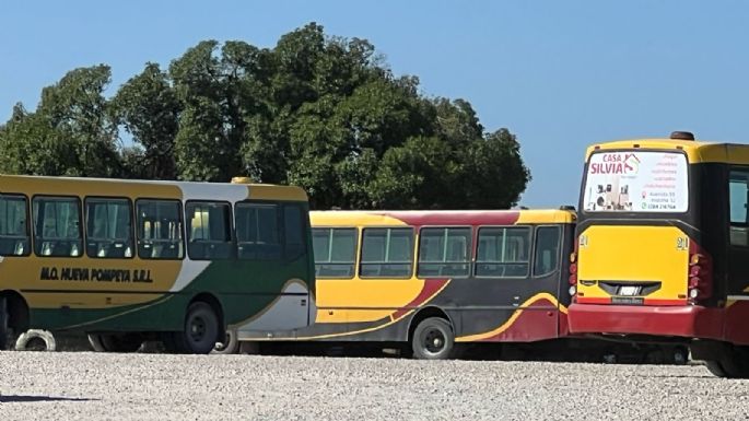 Descontrol con los colectivos: EL HCD quiere saber si se unificaron líneas y si se está pagando a los colectiveros su salario